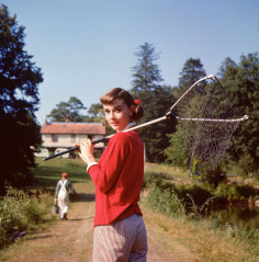 Audrey Hepburn фото №212668