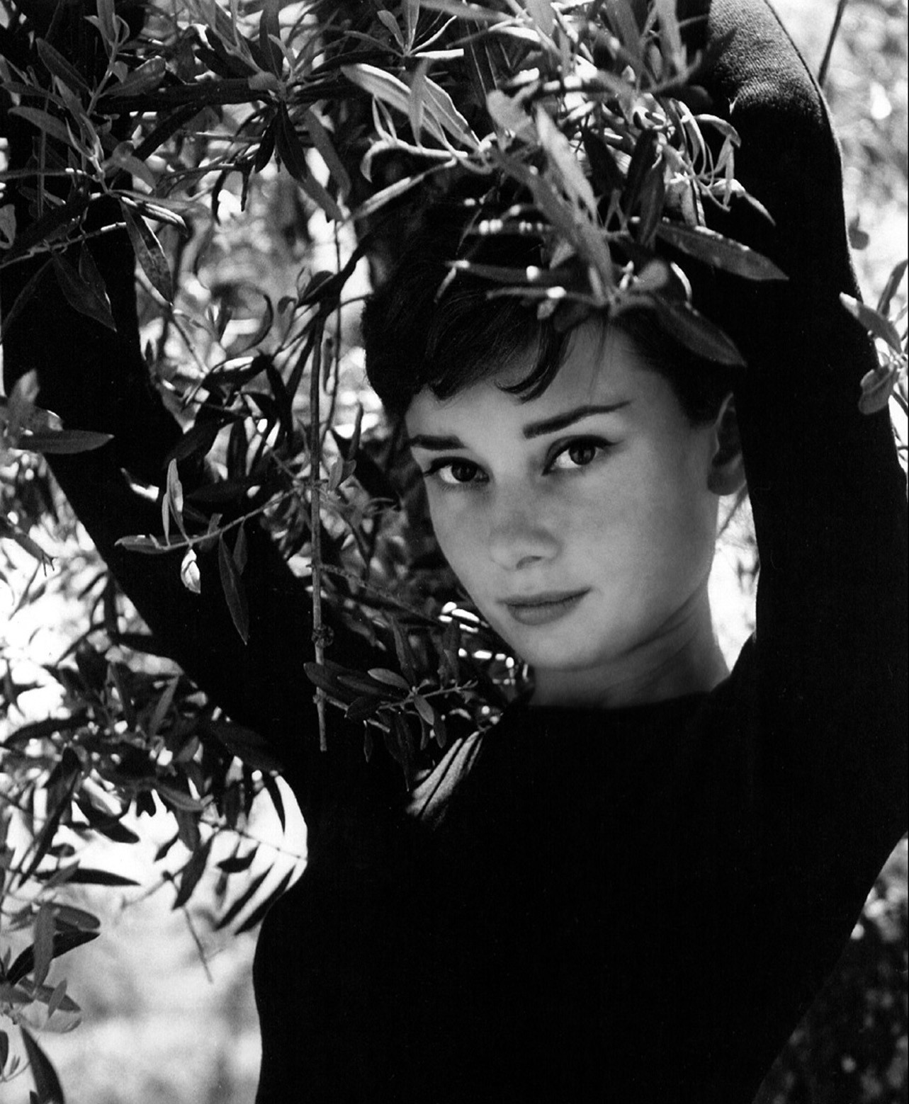 Одри Хепберн (Audrey Hepburn)