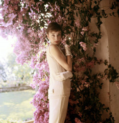 Audrey Hepburn фото №207105