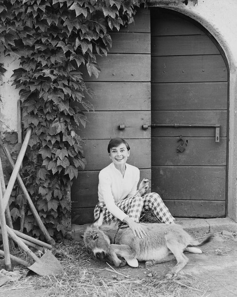Одри Хепберн (Audrey Hepburn)