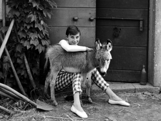 Audrey Hepburn фото №231733