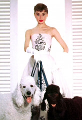 Audrey Hepburn фото №193637