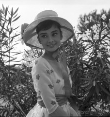 Audrey Hepburn фото №505501