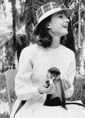 Audrey Hepburn фото №511806