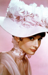 Audrey Hepburn фото №472686