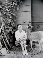 Audrey Hepburn фото №484465