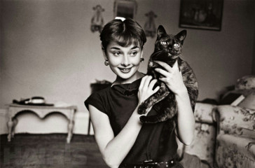 Audrey Hepburn фото №475892