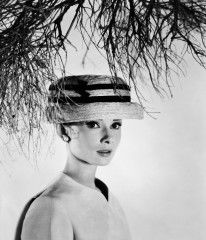 Audrey Hepburn фото №506884
