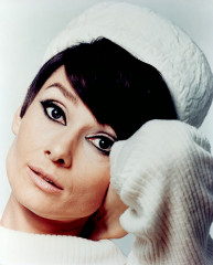 Audrey Hepburn фото №481999