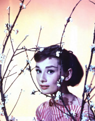 Audrey Hepburn фото №479434