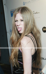Avril Lavigne фото №15308