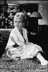Brigitte Bardot фото №138816