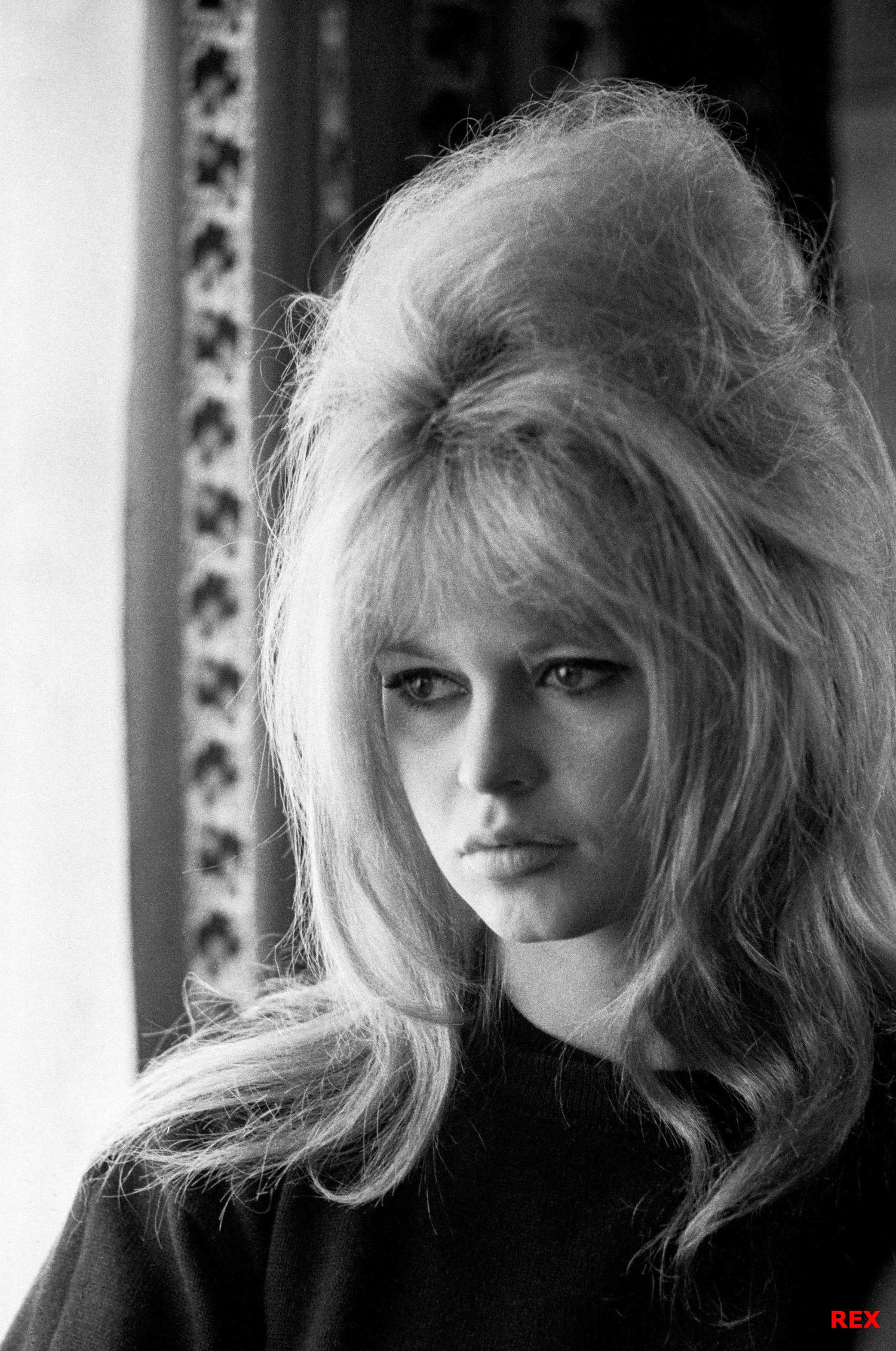 Бриджит Бардо (Brigitte Bardot)