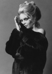 Brigitte Bardot фото №511851