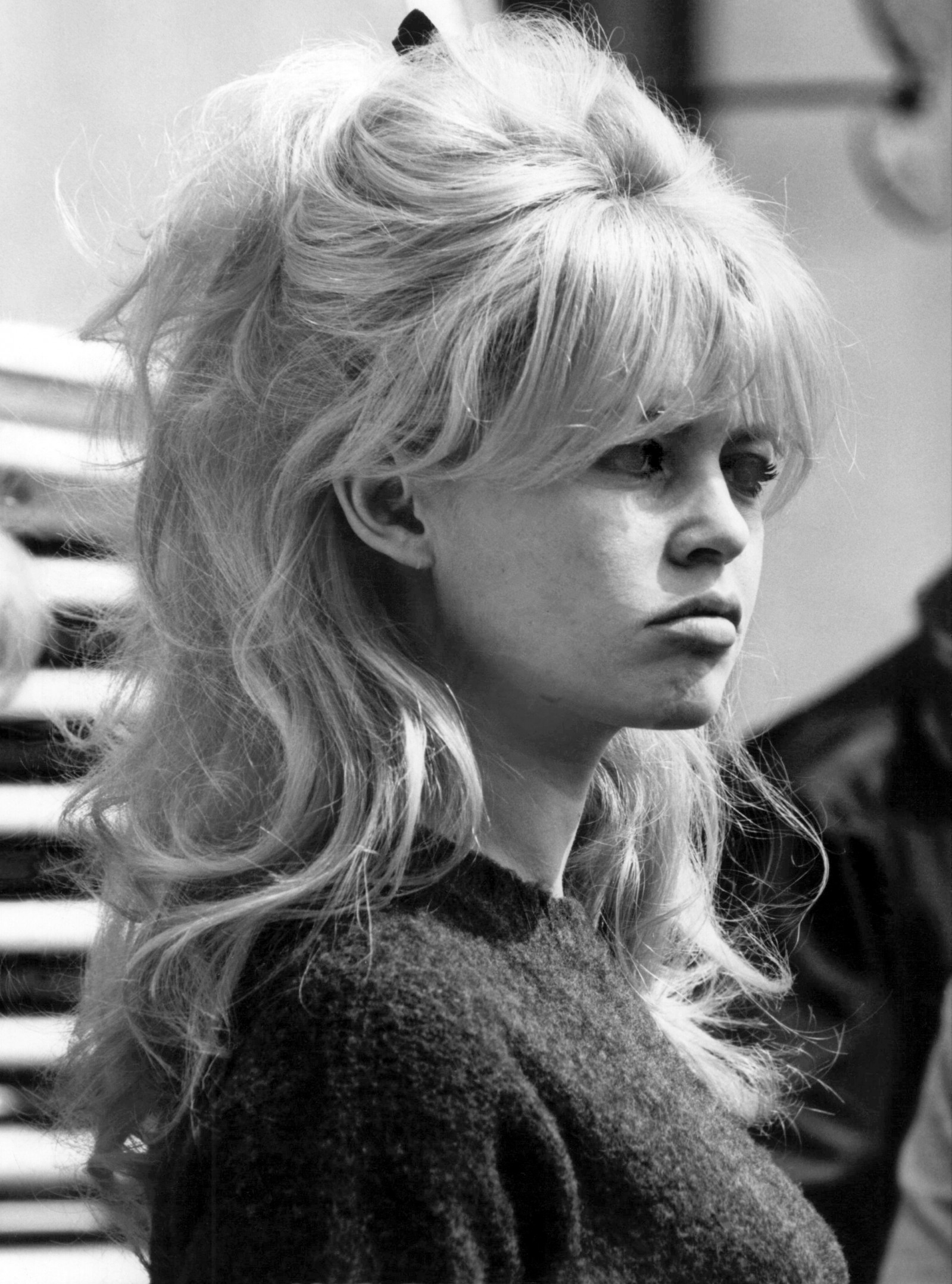 Бриджит Бардо (Brigitte Bardot)
