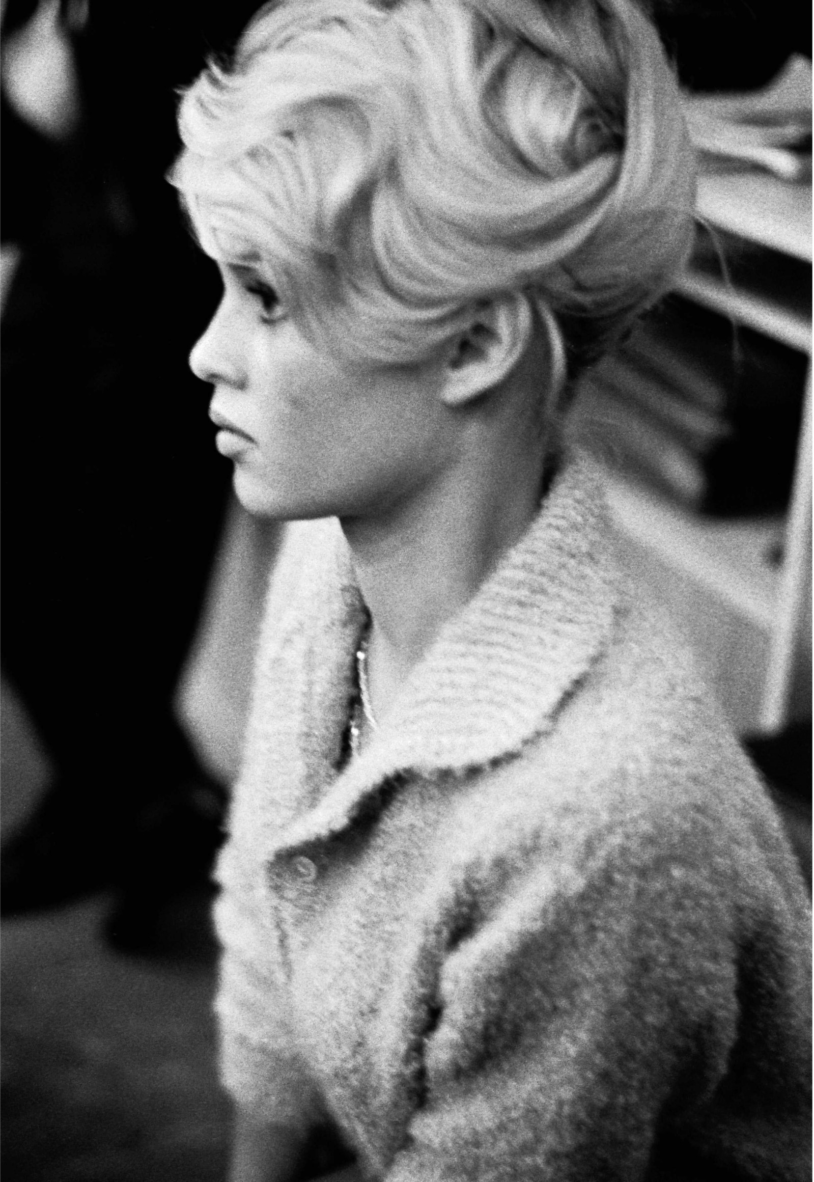 Бриджит Бардо (Brigitte Bardot)