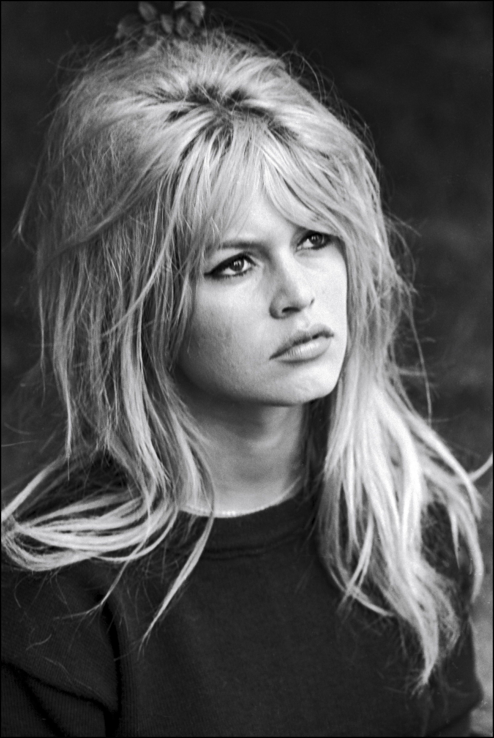 Бриджит Бардо (Brigitte Bardot)