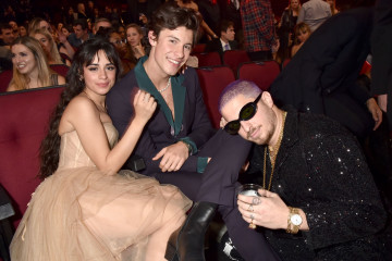 Camila Cabello - American Music Awards in Los Angeles 11/24/2019 фото №1234109