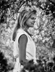 Candice Bergen фото №382621