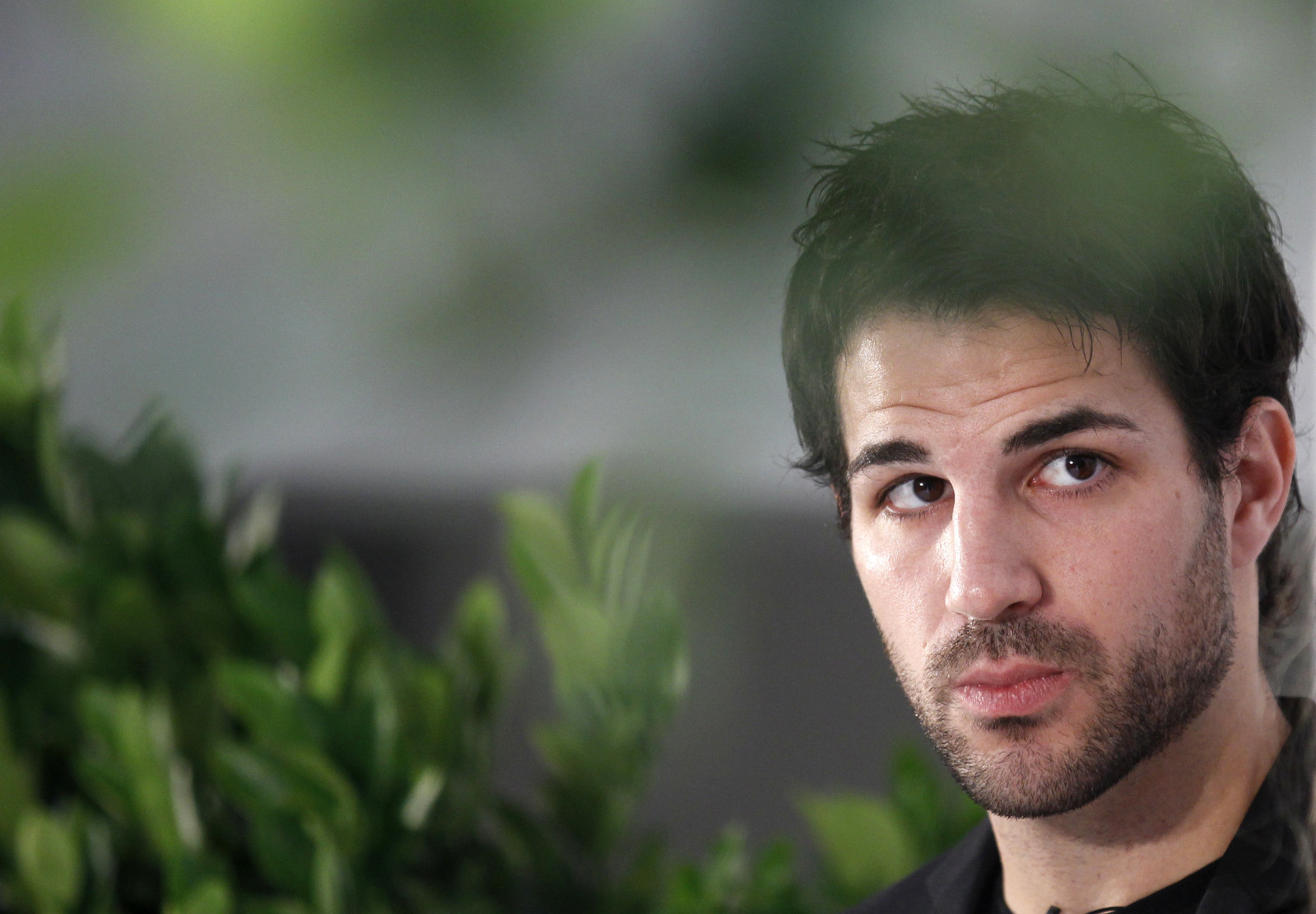 Сеск Фабрегас (Cesc Fabregas)