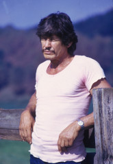 Charles Bronson фото №280331