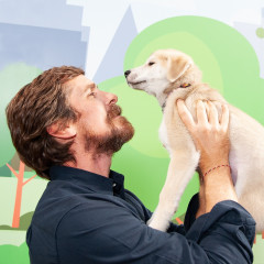 TIFF2019 || Actors with Puppies фото №1218447