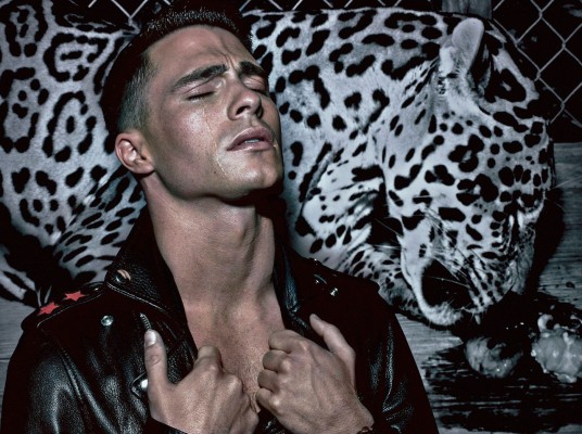 Colton Haynes фото №783868