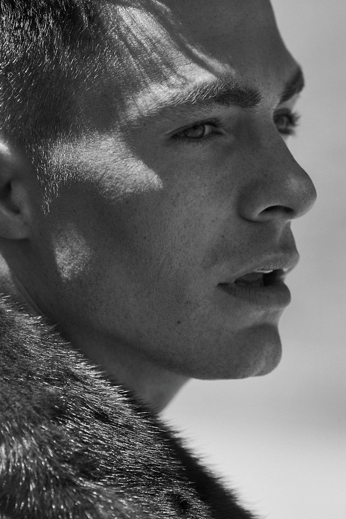 Колтон Хэйнс (Colton Haynes)