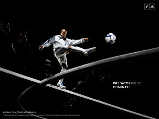 David Beckham фото №41542