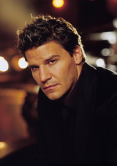 David Boreanaz фото №343491