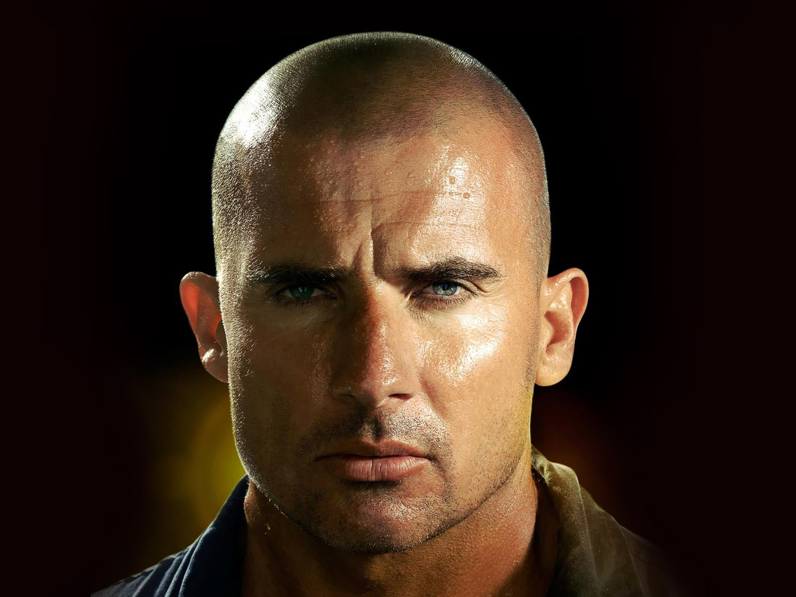 Доминик Пёрселл (Dominic Purcell)