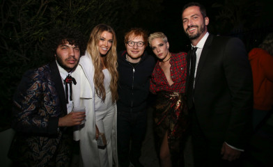 Ed Sheeran at 59th GRAMMY Awards 02/12/2017 фото №945620