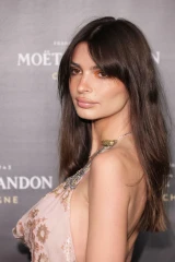 Emily Ratajkowski - Moet &amp; Chandon Event in New York 12/05/2022 фото №1359012