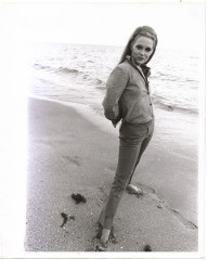 Faye Dunaway фото №195852