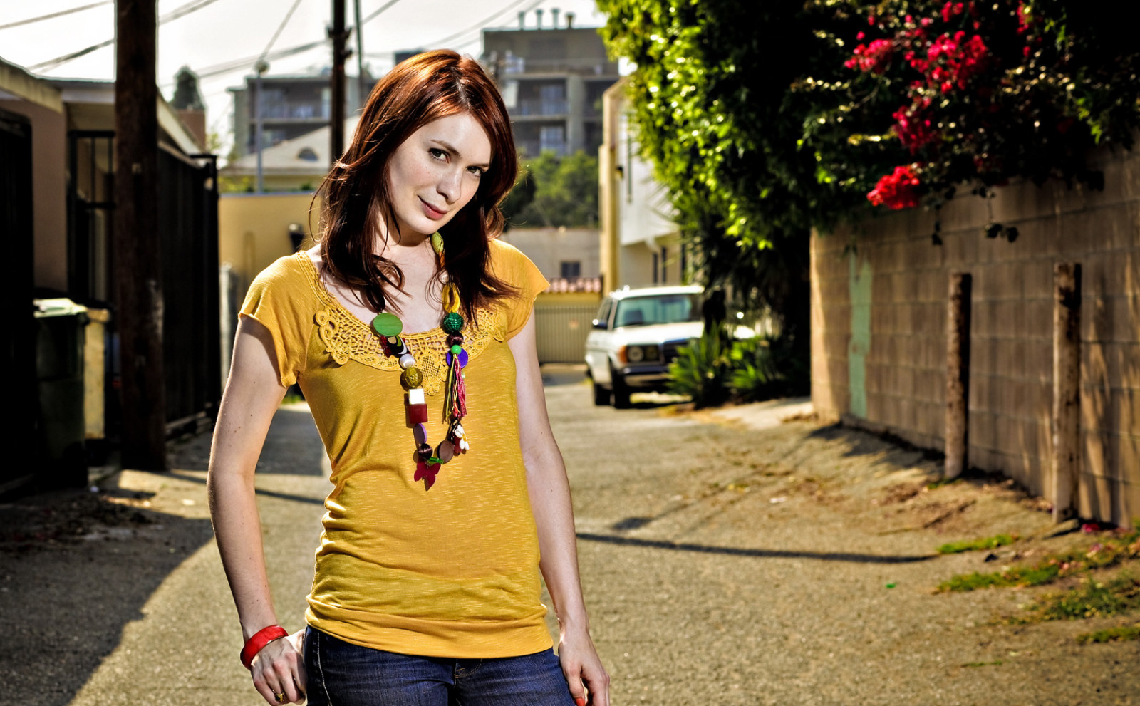 Фелиция Дэй (Felicia Day)