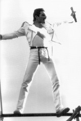 Freddie Mercury фото №718505
