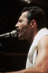 Freddie Mercury фото №241408