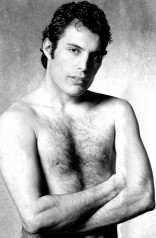Freddie Mercury фото №664320