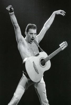 Freddie Mercury фото №211527