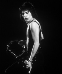 Freddie Mercury фото №747649