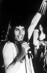 Freddie Mercury фото №727600