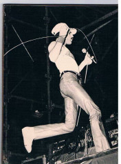Freddie Mercury фото №718510