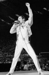 Freddie Mercury фото №716135