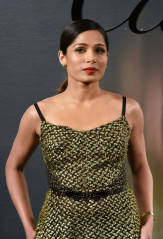 Freida Pinto фото №1060072