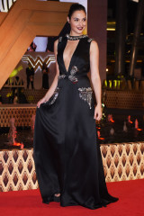 Gal Gadot – “Wonder Woman” Premiere in Mexico City фото №969471