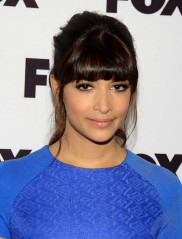 Hannah Simone фото №605500