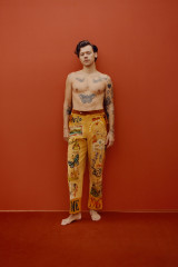 Harry Styles by Tyler Mitchell for Vogue // December 2020 фото №1281856