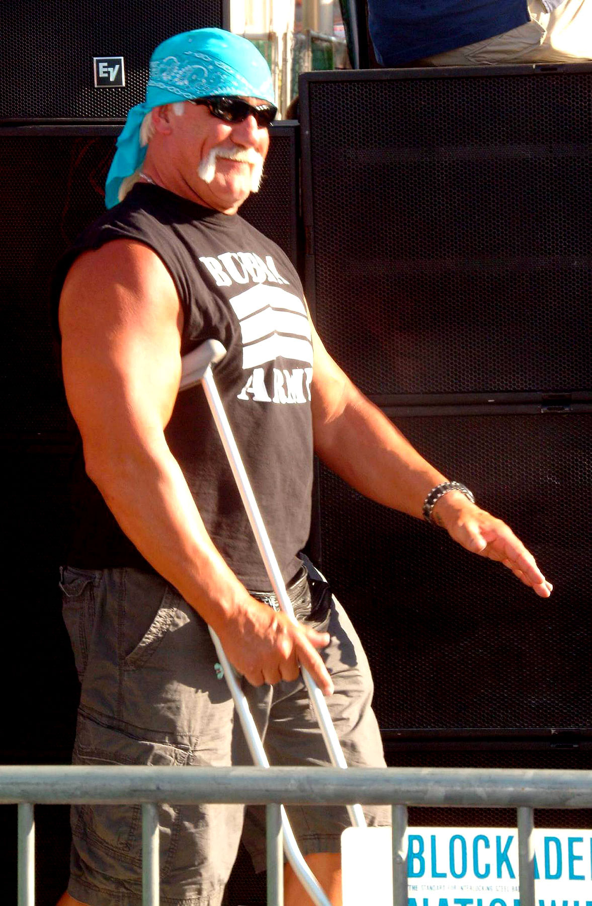 Халк Хоган (Hulk Hogan)