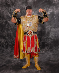 Hulk Hogan фото №120808