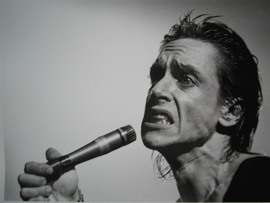 Iggy Pop фото №199605